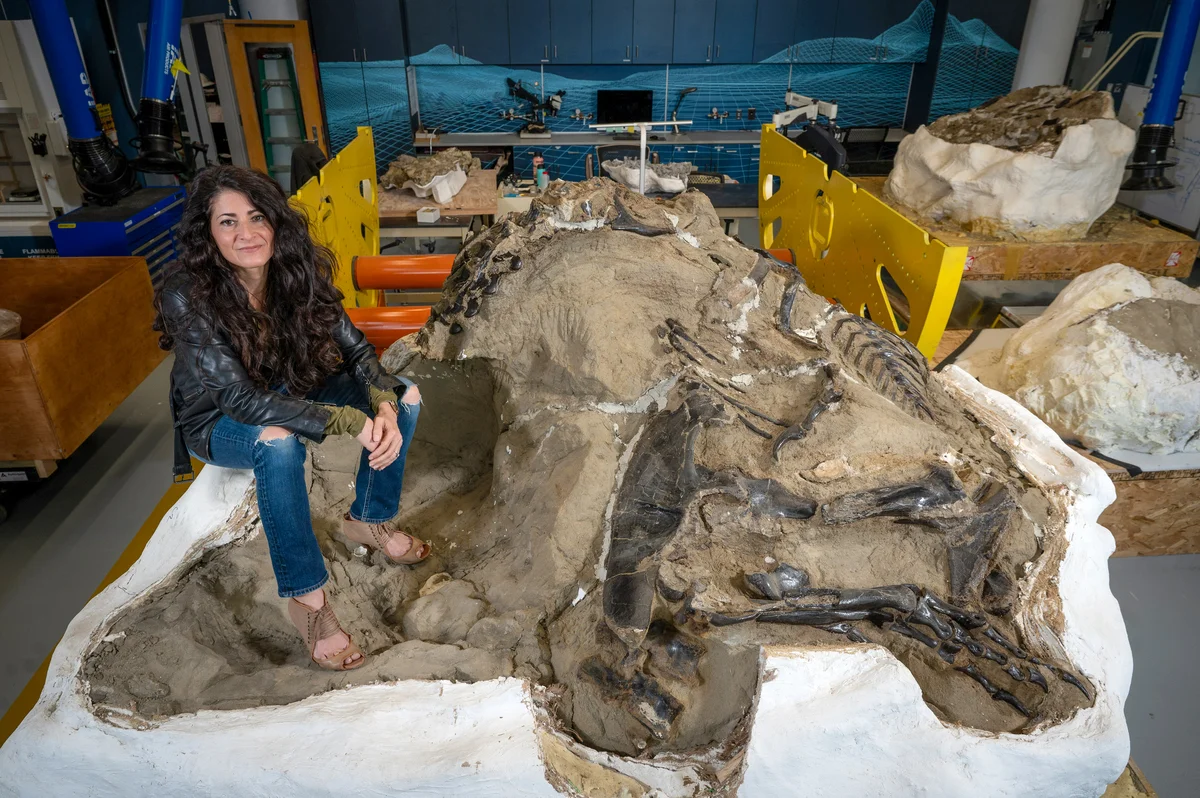 La paleontóloga Lindsay Zanno sostiene el fósil de los Dinosaurios Duelistas en el Museo de Ciencias Naturales de Carolina del Norte