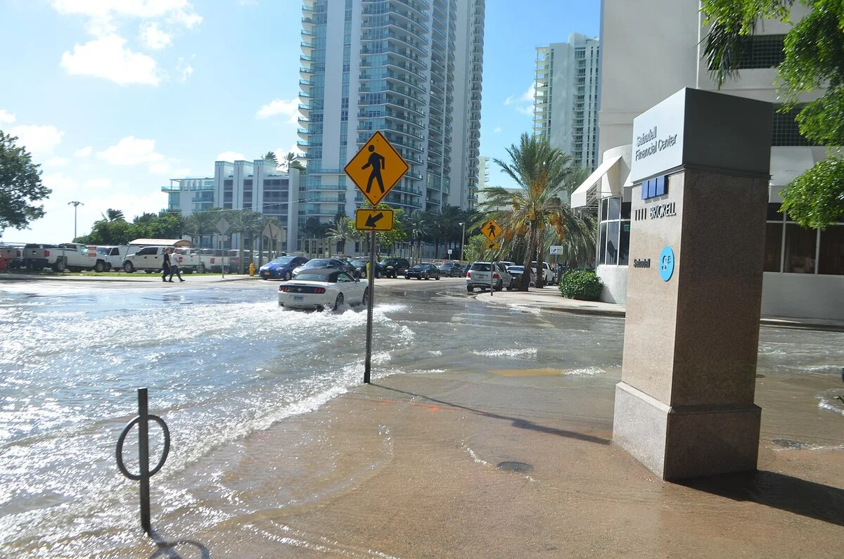 Calles de Miami cubiertas por agua durante una marea real, con vehículos circulando entre reflejos y palmeras en el fondo