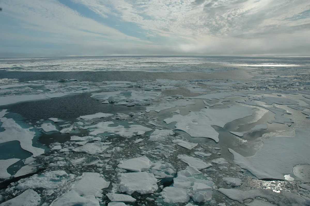 Vista panorámica del hielo marino fragmentado en el océano Ártico
