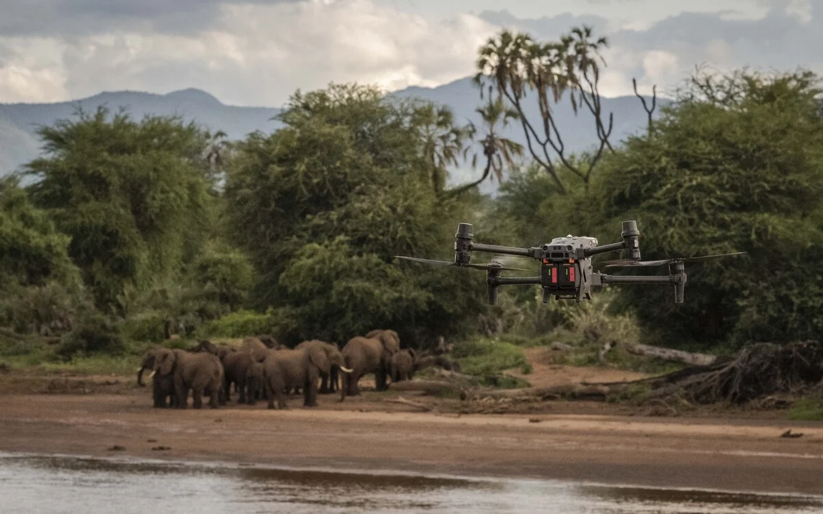 Equipo de conservación emplea un dron para observar elefantes en Samburu.