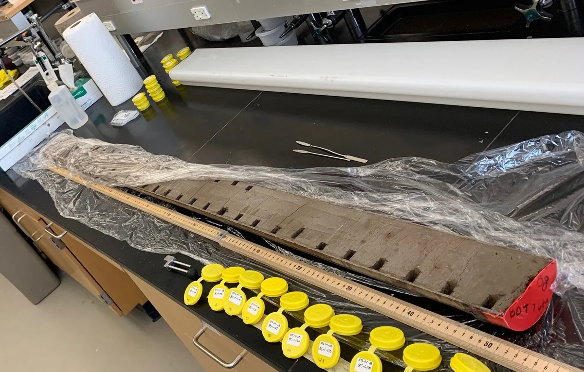 Núcleo de sedimento del lago Stoneman colocado en una mesa de laboratorio para su análisis