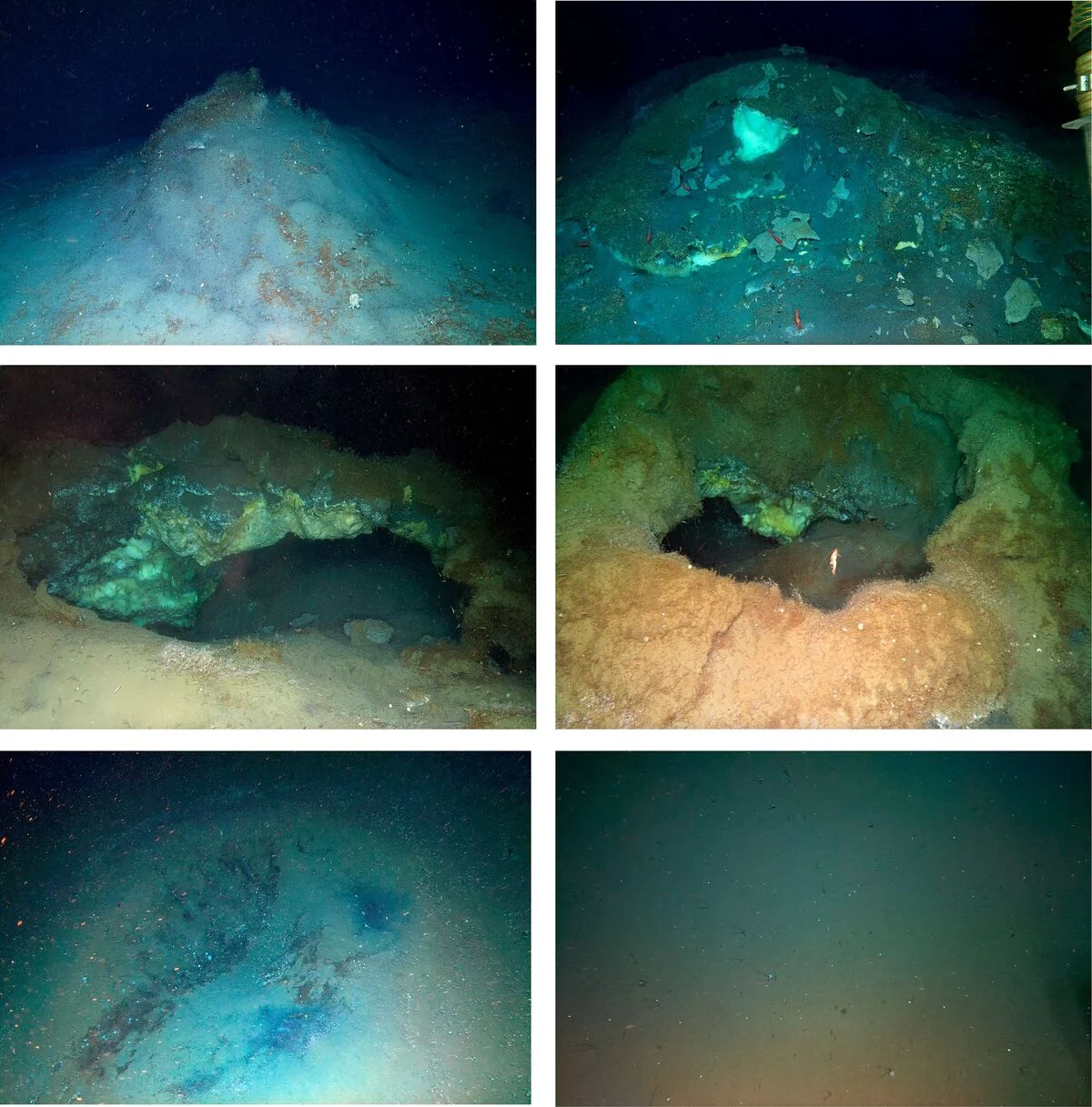 Montículos de hidratos de gas de Freya