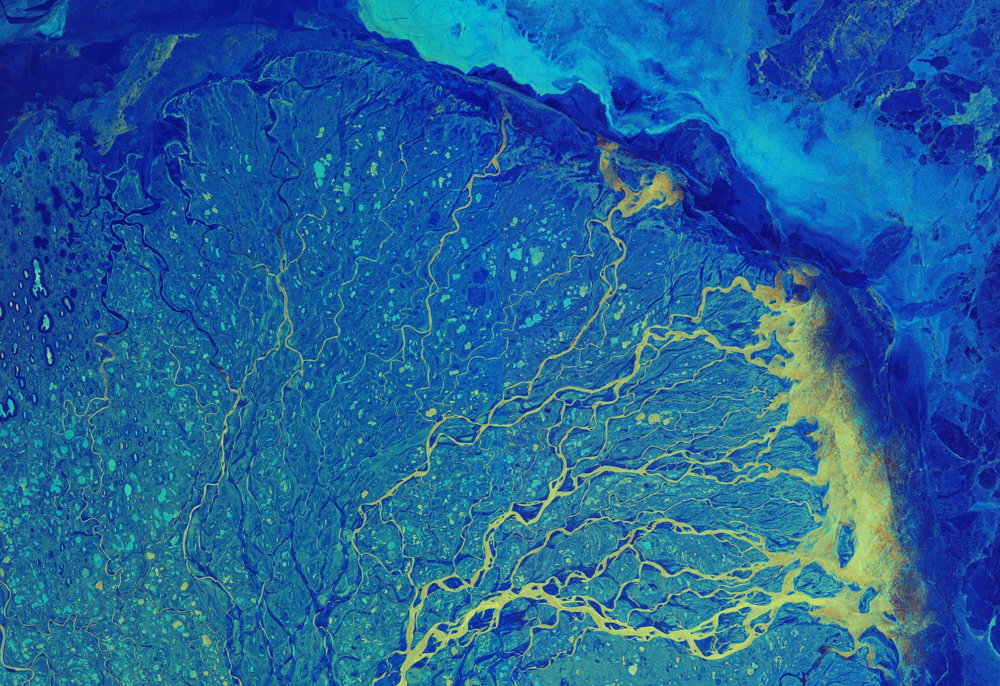 Vista satelital del delta del río Lena con múltiples canales y lagos en la tundra ártica