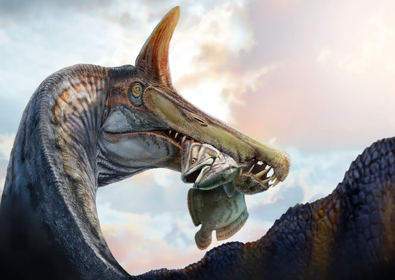 Representación paleoartística de Spinosaurus mirabilis alimentándose de un celacanto