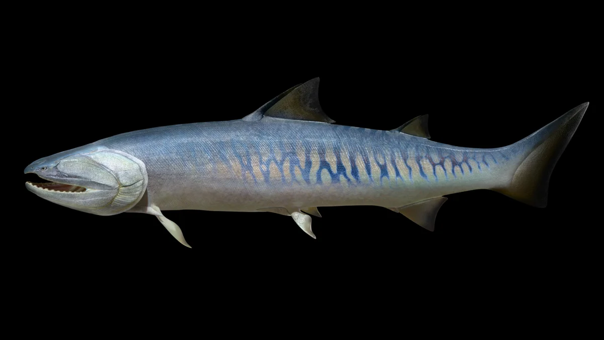 Megamastax amblyodus, gran vertebrado marino del Silúrico