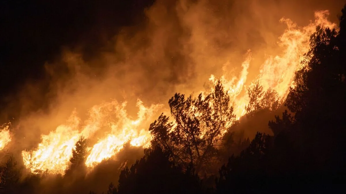 Incendio forestal avanzando por una ladera durante la noche