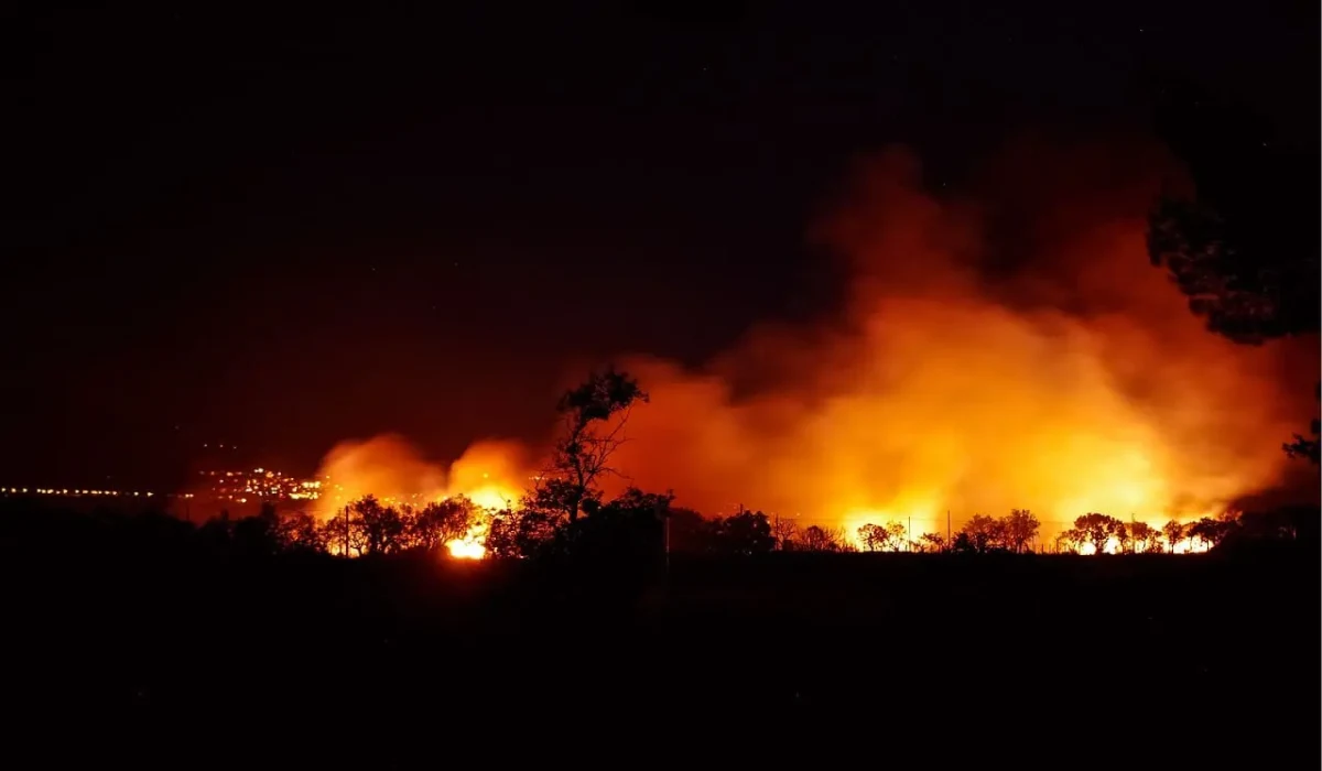 Incendio forestal nocturno con intensas llamas iluminando el cielo y árboles en primer plano.