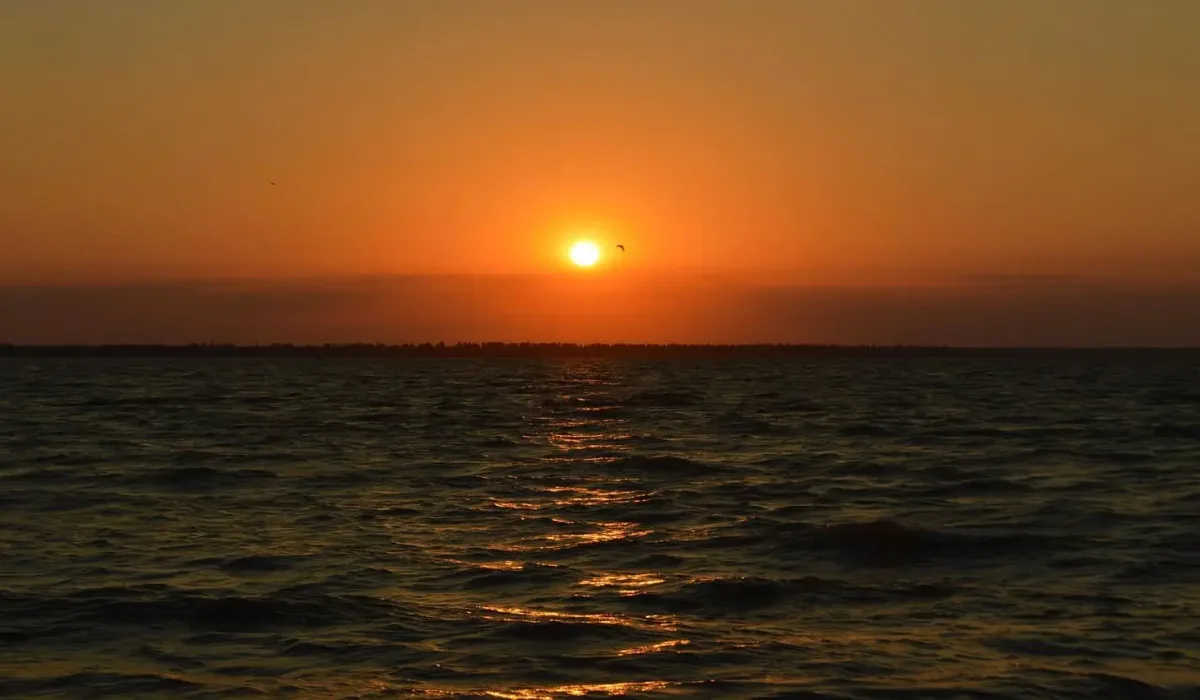 Atardecer sobre un estuario con reflejos dorados en el agua y un ave volando en el horizonte.