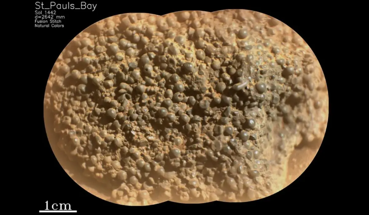 Primer plano de una roca marciana con cientos de esferas oscuras adheridas, captada por la SuperCam del rover Perseverance.