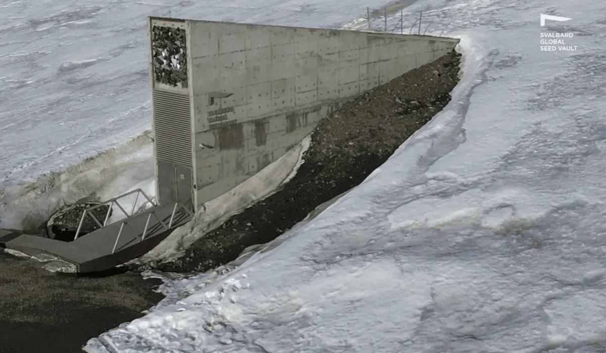 Vista frontal de la entrada del Svalbard Global Seed Vault, parcialmente cubierta por nieve.