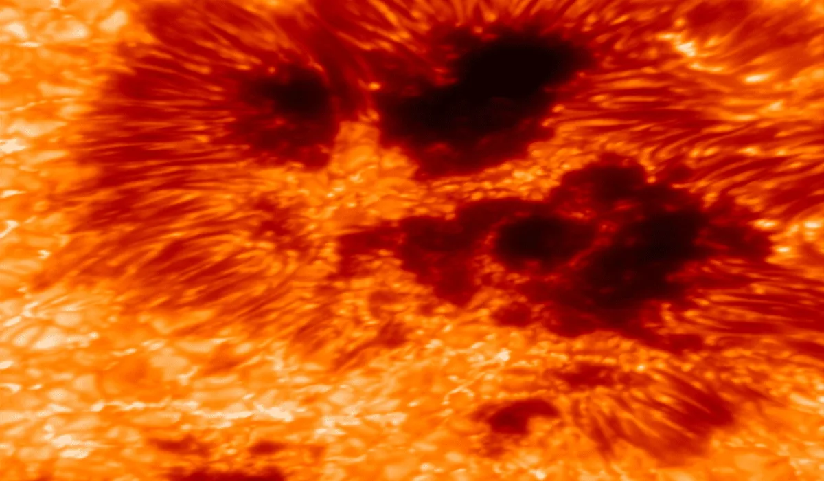 Imagen de alta resolución de manchas solares captada con el VTF en el telescopio Inouye.