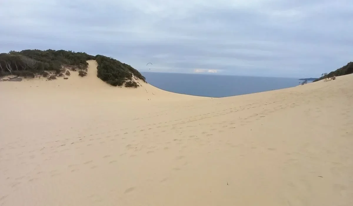 Duna cooloola australia