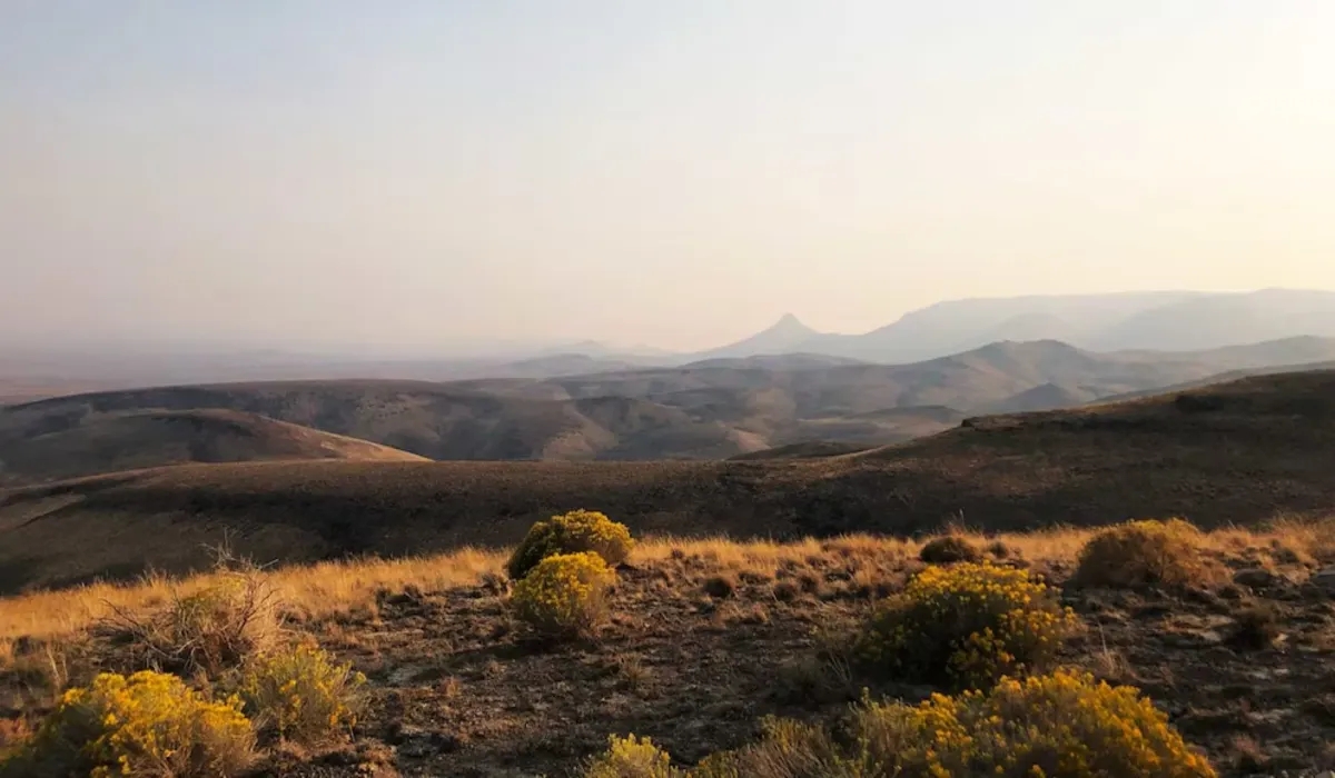 Paisaje árido con colinas en Oregón