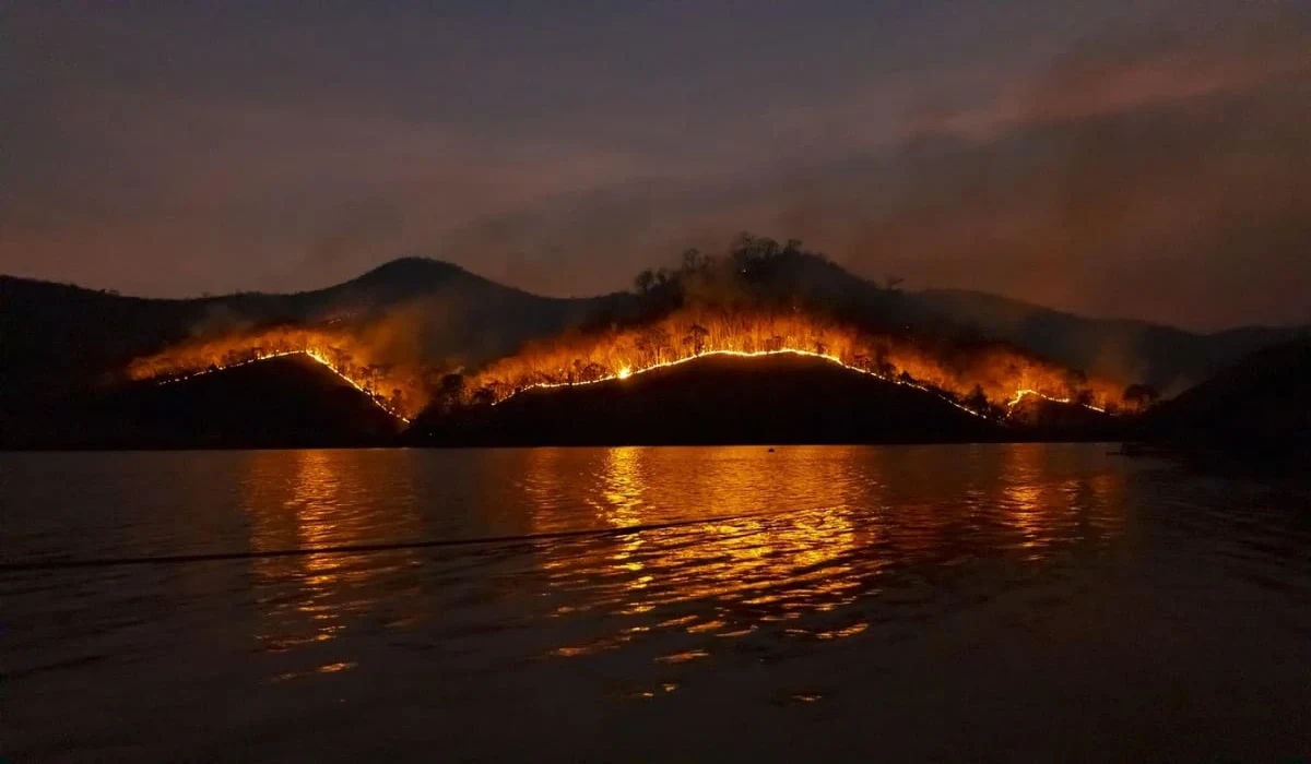 Incendio forestal ardiendo en una ladera