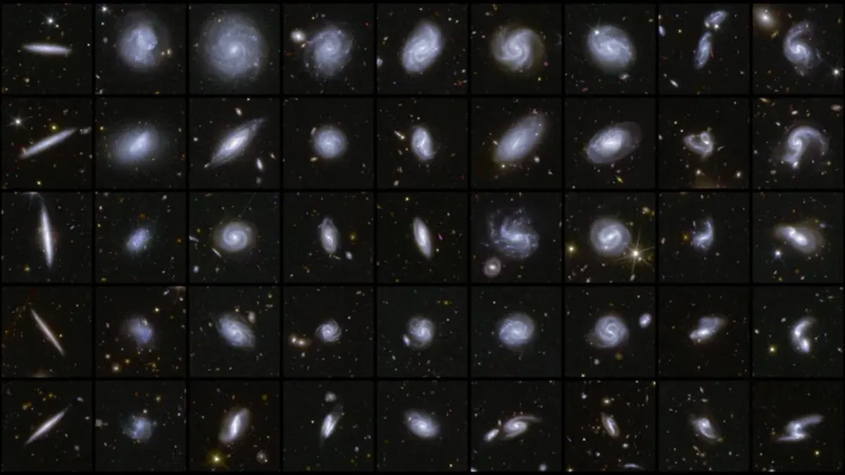 Algunas de las numerosas galaxias de diferentes formas captadas por Euclid en sus primeras observaciones de las áreas de campo profundo.