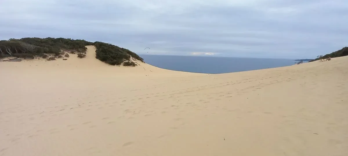 Duna cooloola australia