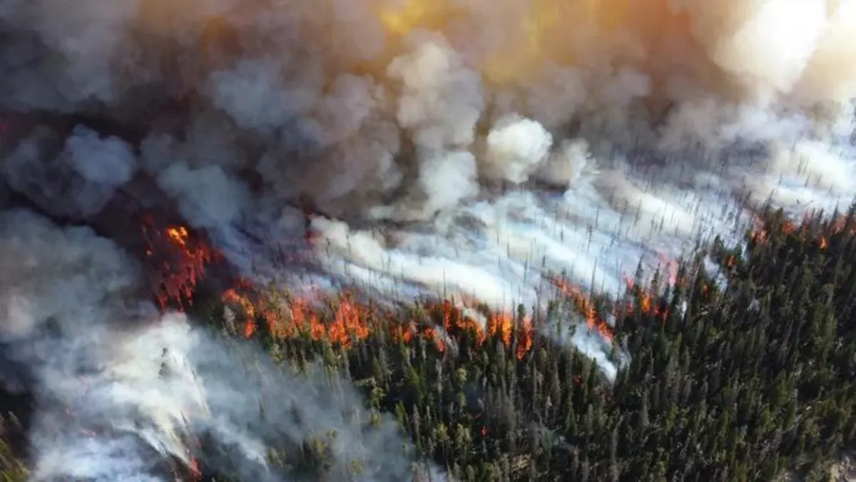 Incendio forestal en un bosque del noroeste de América del Norte, con humo denso y llamas activas