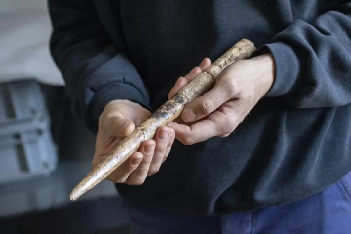Punta de proyectil prehistórica fabricada con hueso de ballena gris, Francia