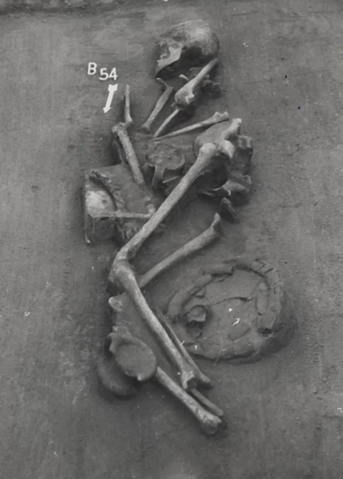 Vista del yacimiento funerario de Tiszafüred Majoroshalom B54