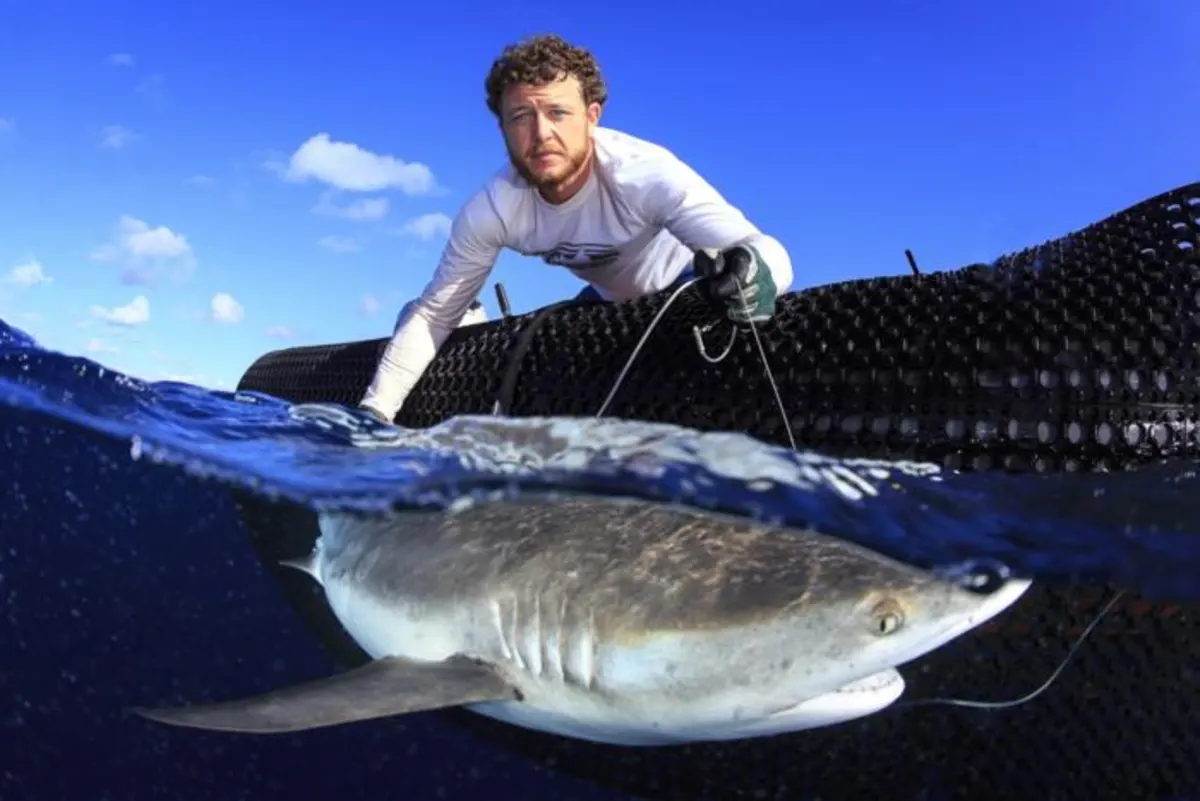 Más de 100 especies de megafauna marina fueron seguidas por científicos globales, localizando áreas clave para conservar y diseñar Áreas Marinas Protegidas efectivas.