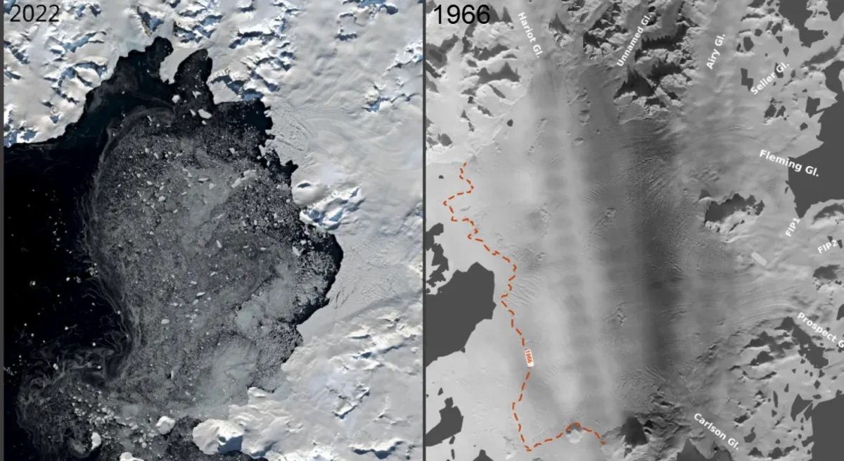 Comparación visual de Wordie antes y después del colapso entre 1966 y 2022