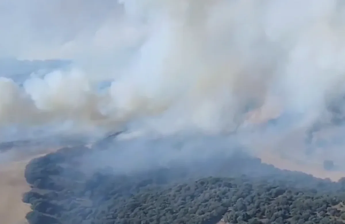 Vista aérea del incendio forestal en Monte el Viejo, Palencia, con denso humo sobre áreas de bosque y campos abiertos