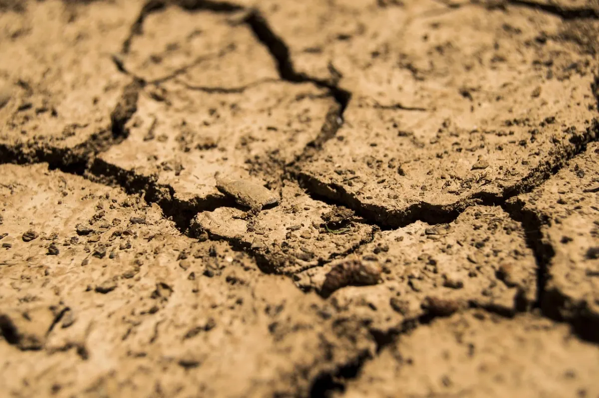 Suelo seco y agrietado por los efectos de la sequía extrema