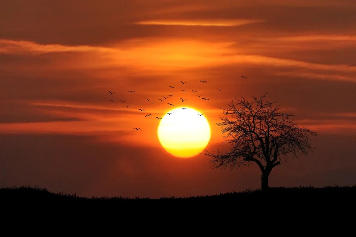Atardecer con cielo anaranjado y fuerte calor reflejado en el horizonte