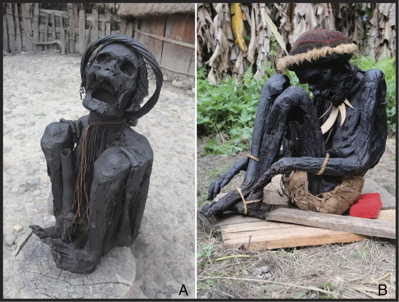 Momias ahumadas conservadas en Papúa, Indonesia, con poses flexionadas
