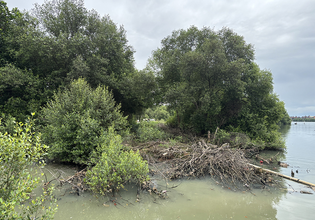 Pos 5 Hutan Lindung - Foto 2