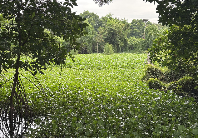 Titik 2 Elang Laut - Foto 2