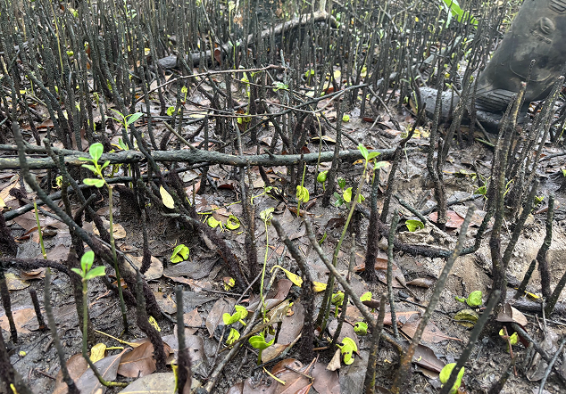 TWA Angke Kapuk - Foto 3