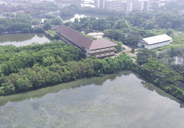 Mangrove STIP - Foto 2