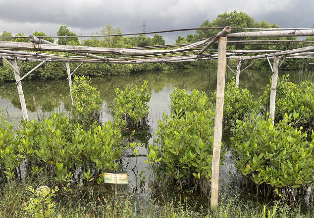 Pasmar 1 TNI AL - Foto 2
