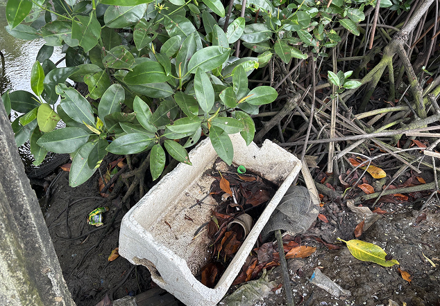 Pasmar 1 TNI AL - Foto 3