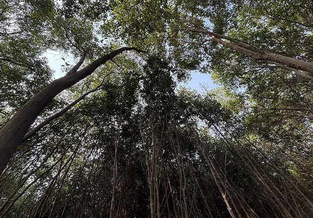 Pantai Marunda - Foto 3