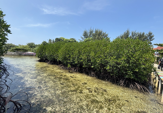 Pulau Kelapa Dua - Foto 3