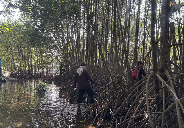 Pulau Pramuka - Foto 2