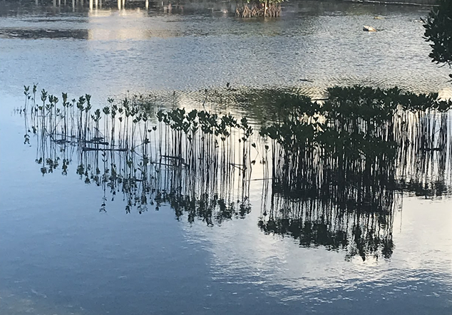 Pulau Pramuka - Foto 3