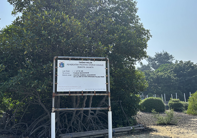 Pulau Lancang Besar - Foto 2