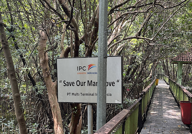 Ekowisata Mangrove PIK - Foto 2