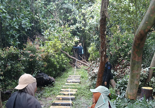 Ekowisata Mangrove PIK - Foto 3
