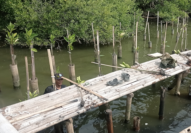 Pos 3 Hutan Lindung - Foto 3