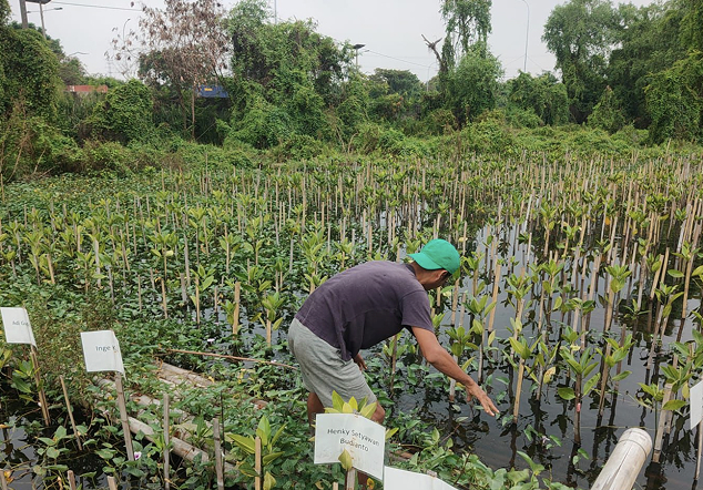 Pos 3 Hutan Lindung - Foto 2