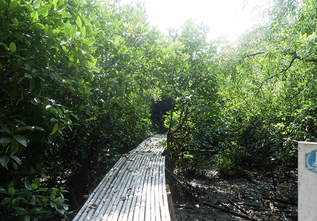 Komunitas Mangrove Muara Angke