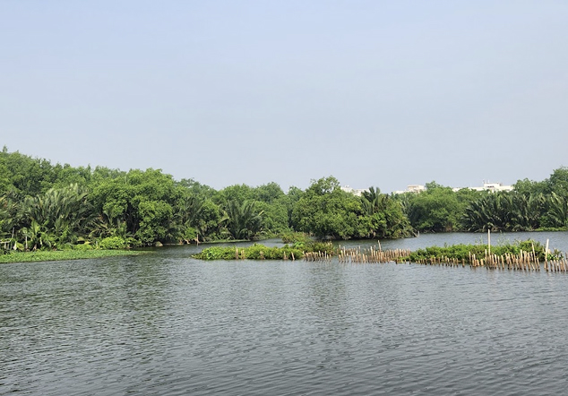Komunitas Mangrove Muara Angke - Foto 2