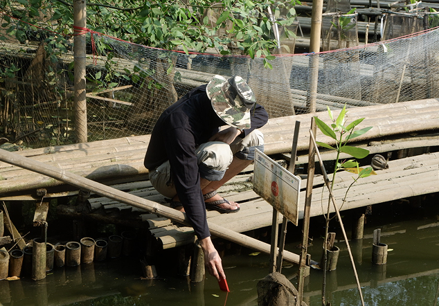 Suaka Margasatwa Muara Angke - Foto 3