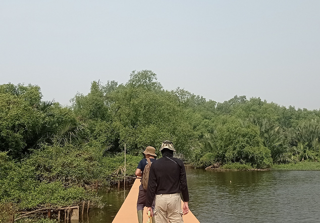 Suaka Margasatwa Muara Angke - Foto 2