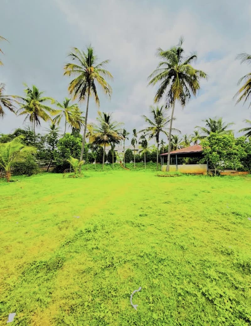 Farmhouse  - Photo 7