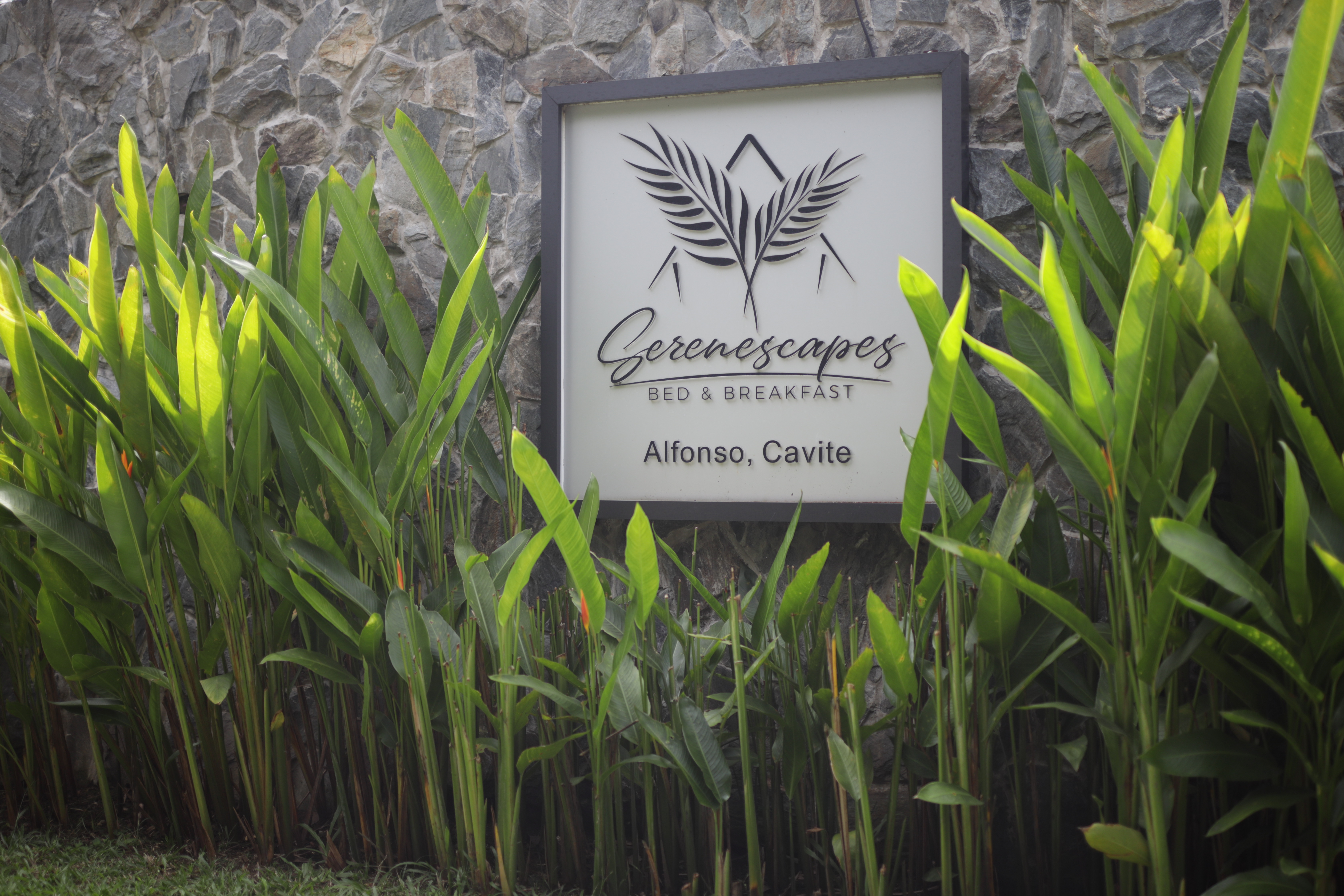 serenescapes alfonso cavite